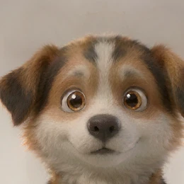 阿犬